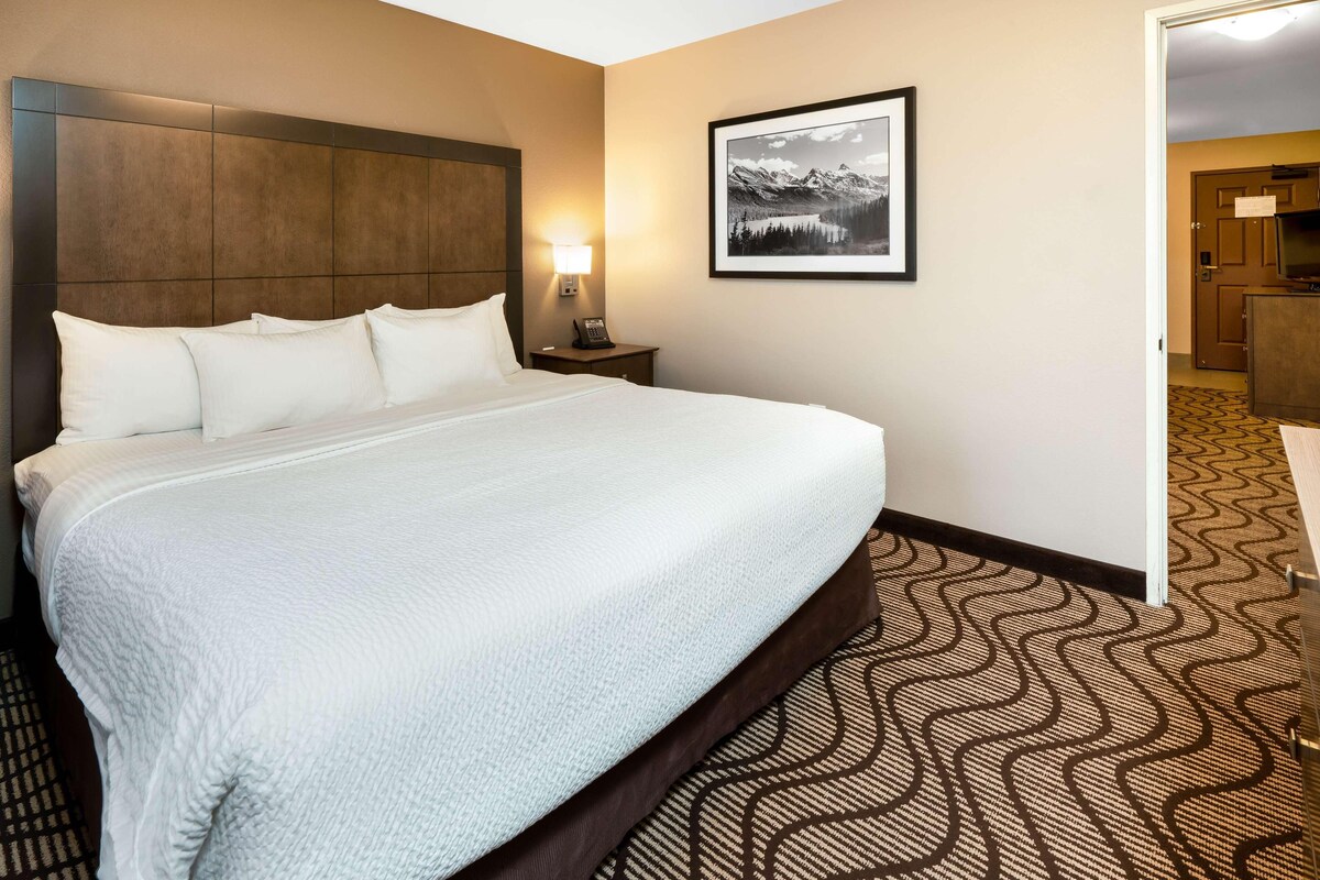 A hotel room with a large bed, a headboard, a bedside lamp, a framed picture on the wall, and a patterned carpet.