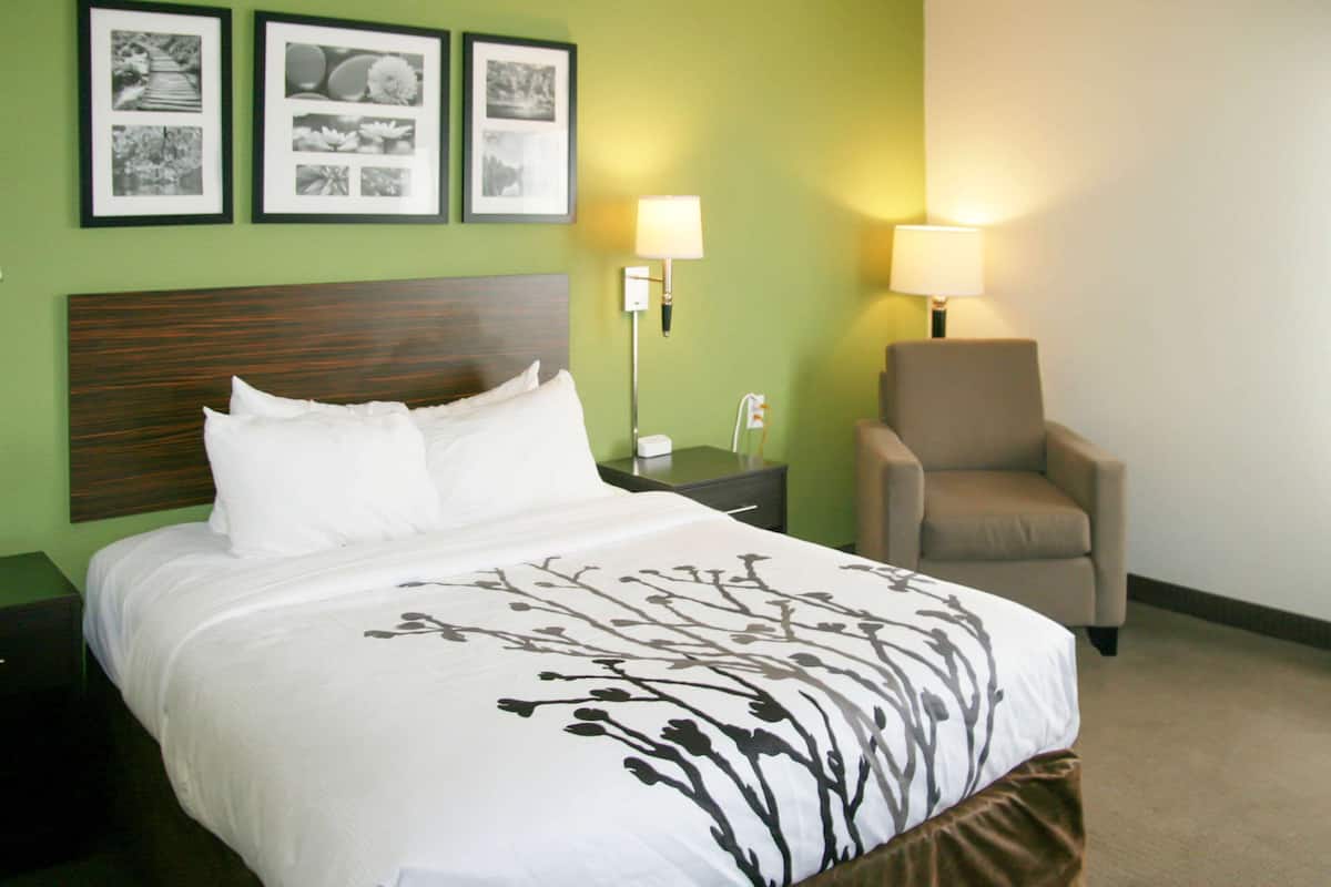 Standard Room, 1 King Bed, Non Smoking