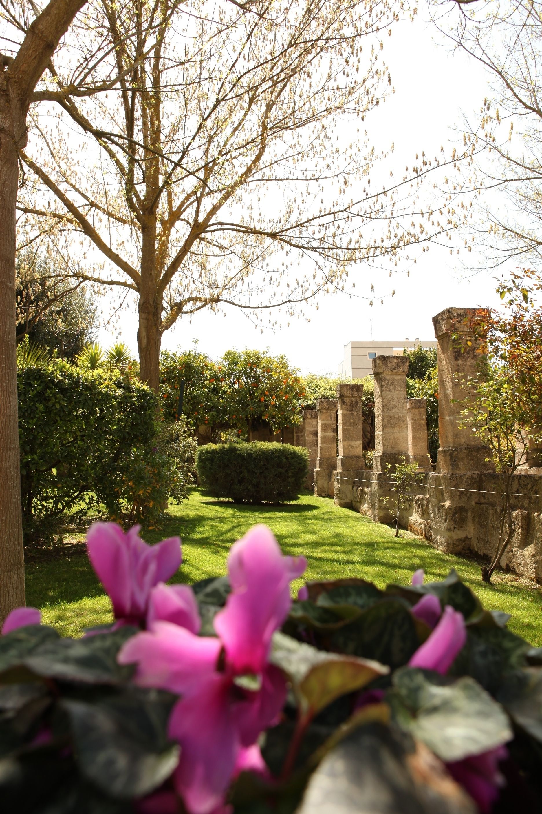 Photo - Hotel Del Campo