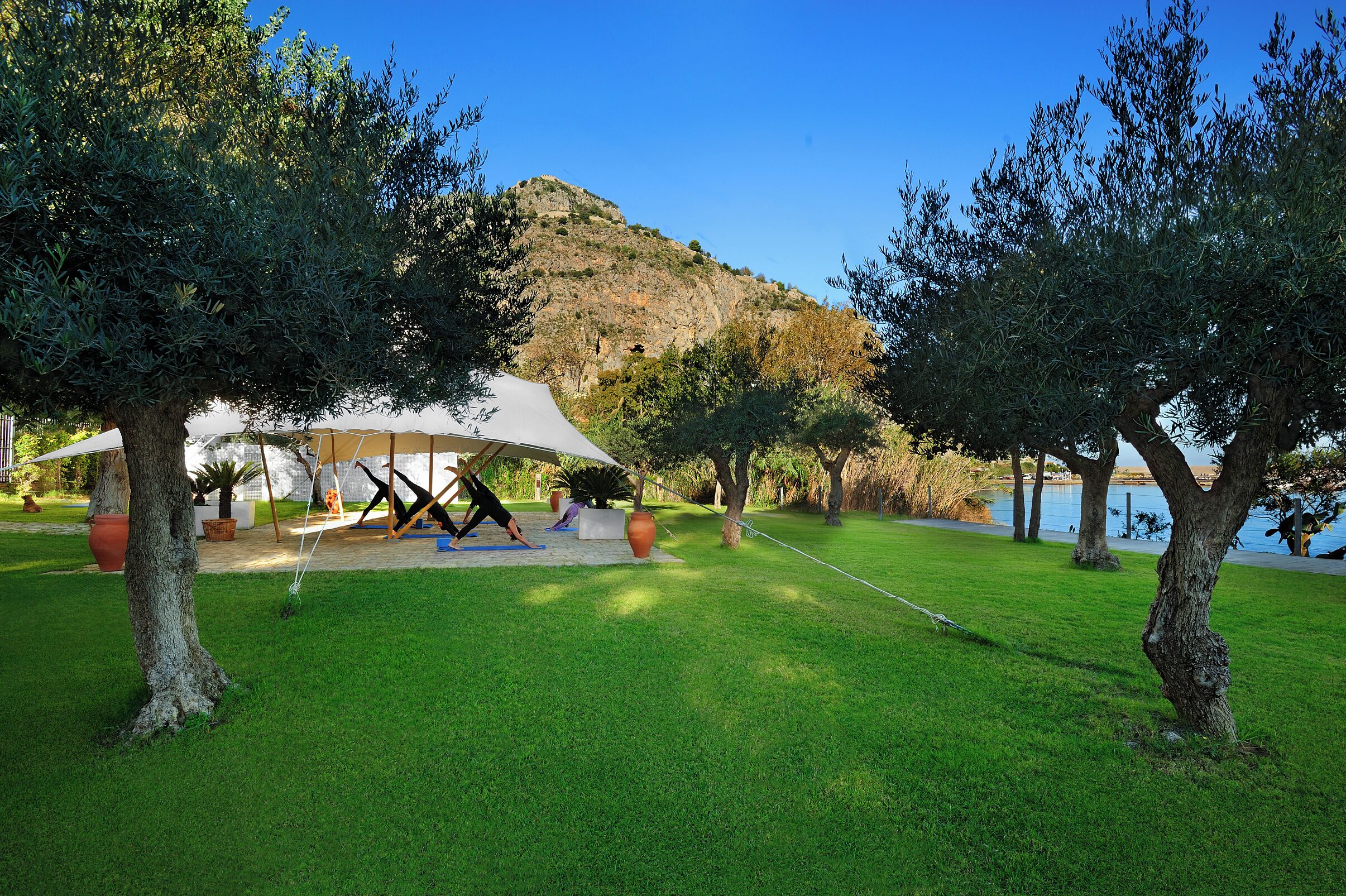 A grassy outdoor area with a tent, trees, and a view of a hill.