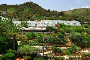 Jardim