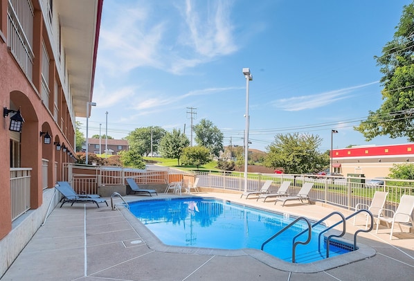 Seasonal outdoor pool, pool umbrellas, sun loungers