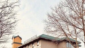 外觀