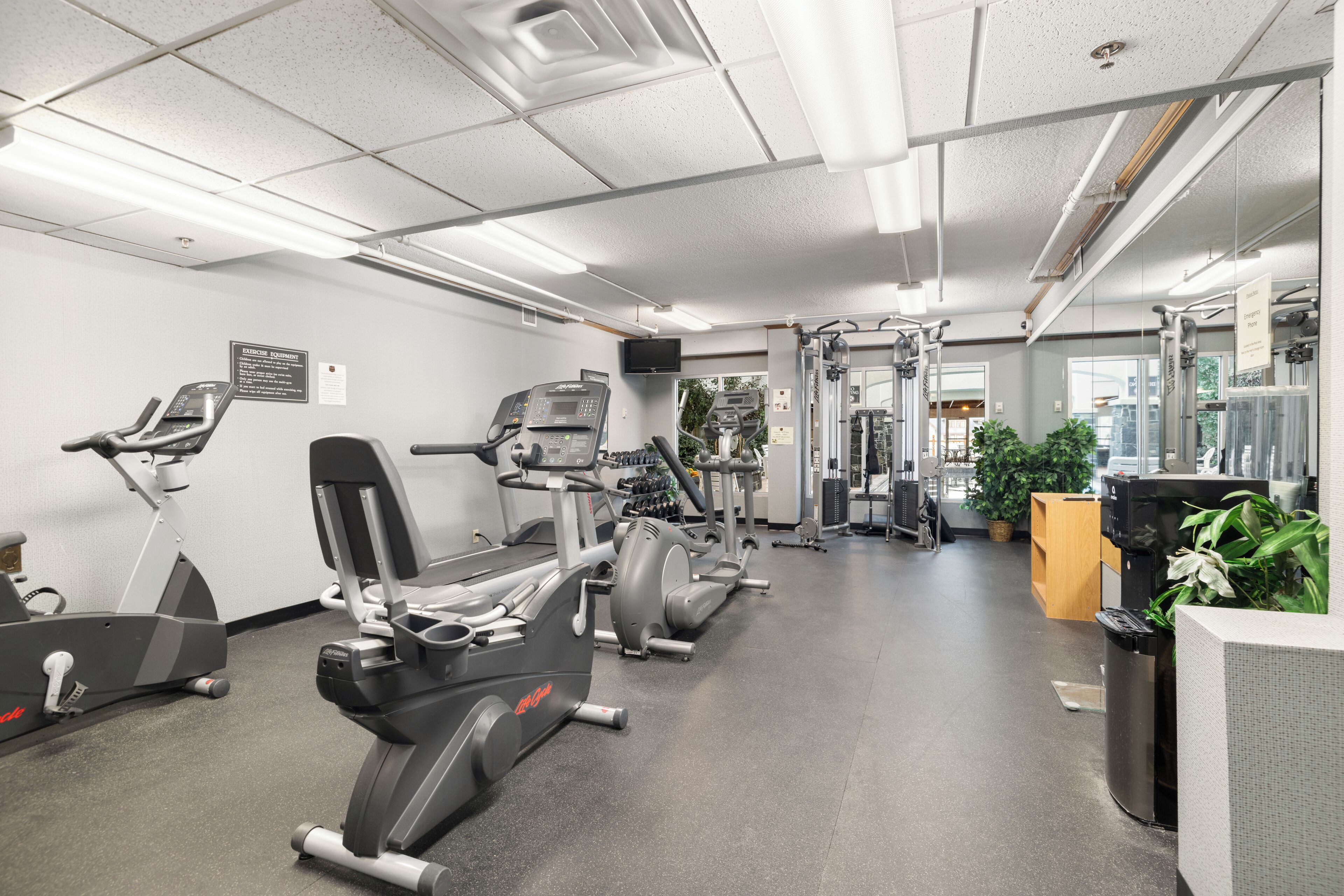 A gym with various exercise equipment including treadmills, weight machines, and free weights.
