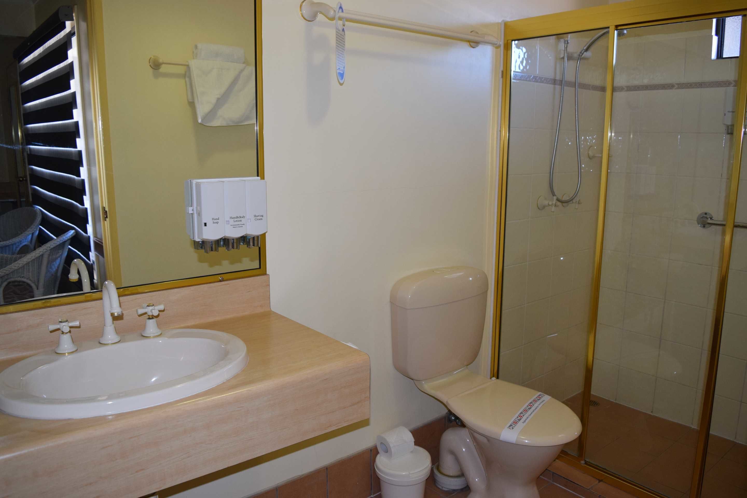 Une salle de bain avec un lavabo, des toilettes et une douche.