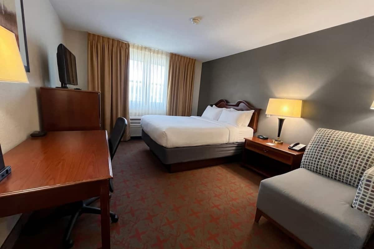 A hotel room with a bed, desk, chair, and a sofa.