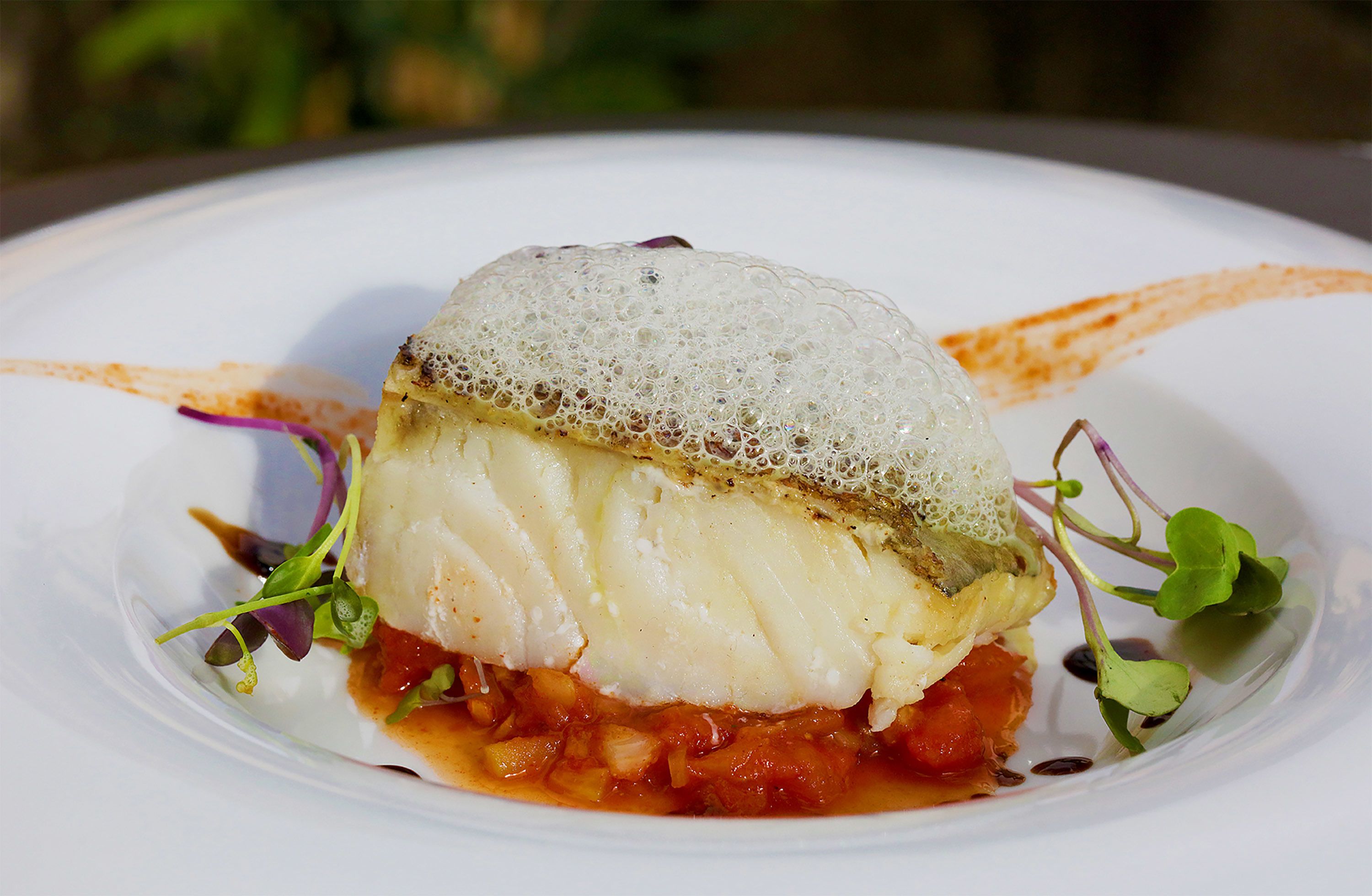A dish with fish, sauce, and greens on a plate.