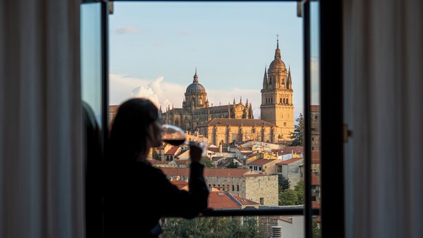Una persona sentada junto a una ventana con vista a una catedral histórica.
