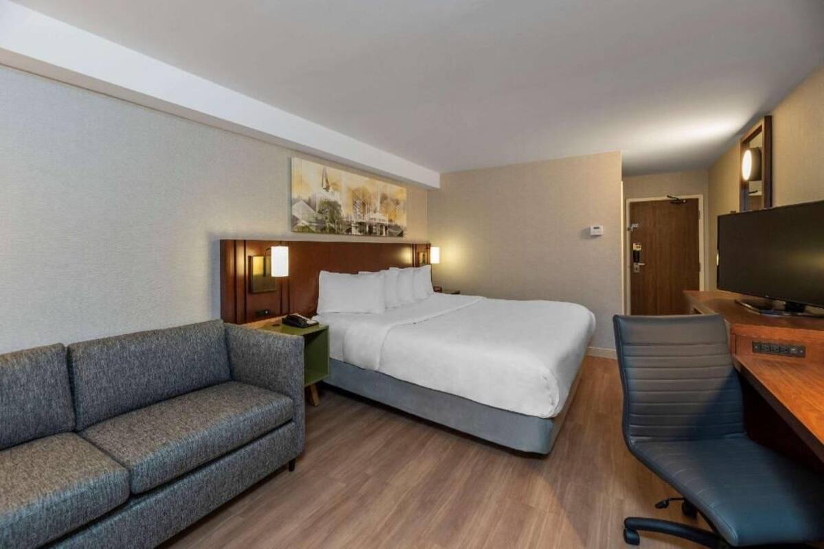 A hotel room with a bed, a sofa, a desk with a chair, a television, and a painting on the wall.