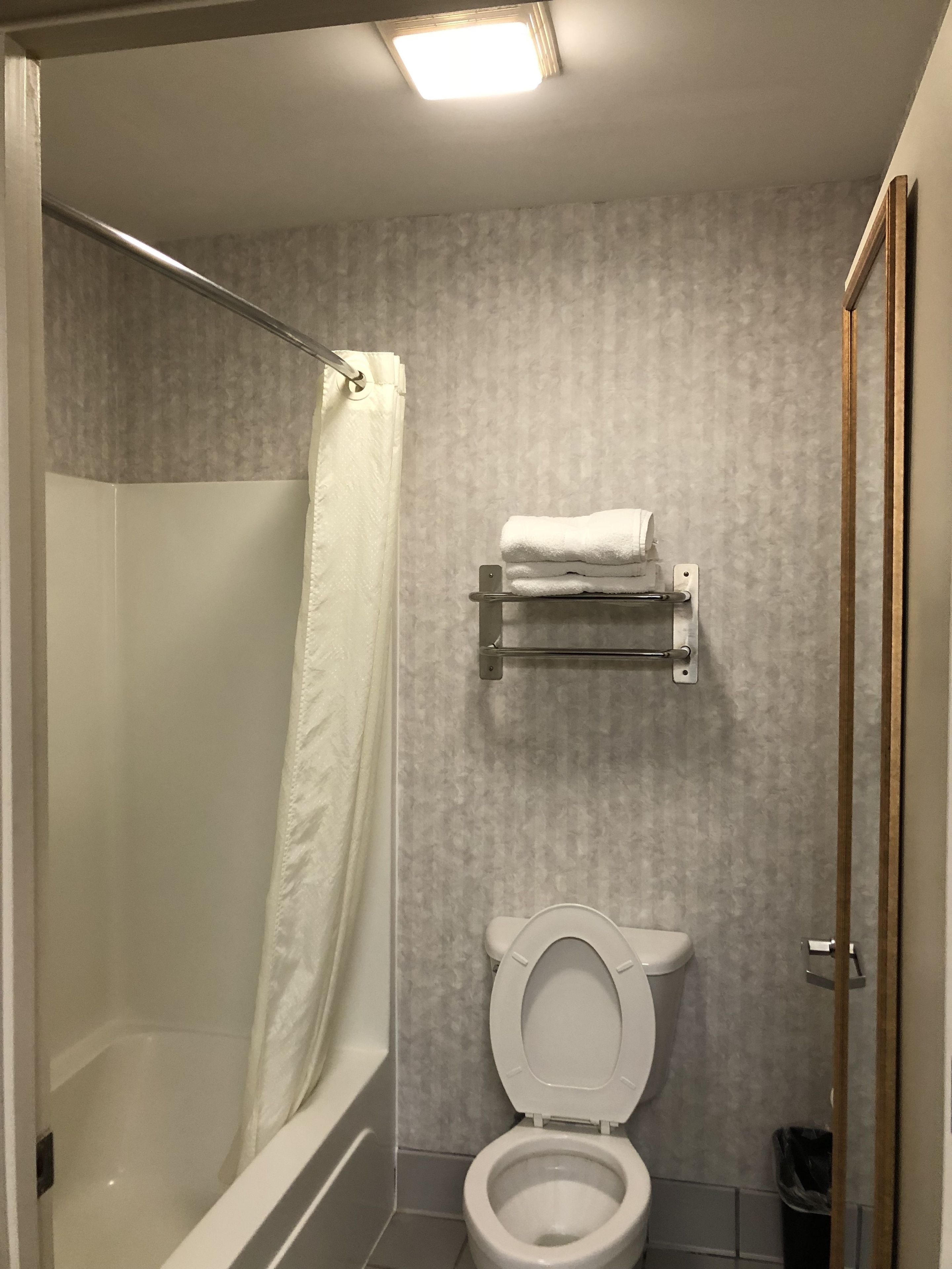 A bathroom with a shower, toilet, and towel rack.