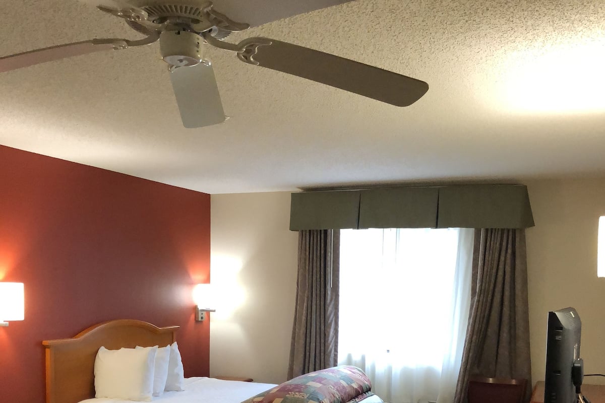 Ein Hotelzimmer mit Bett, Schreibtisch, Stuhl, Deckenventilator und einem fensterbepflanzten Fenster.