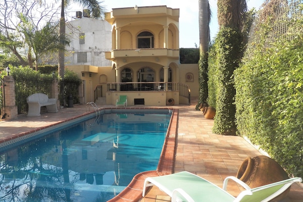 Seasonal outdoor pool, open 9:00 AM to 9:00 PM, sun loungers