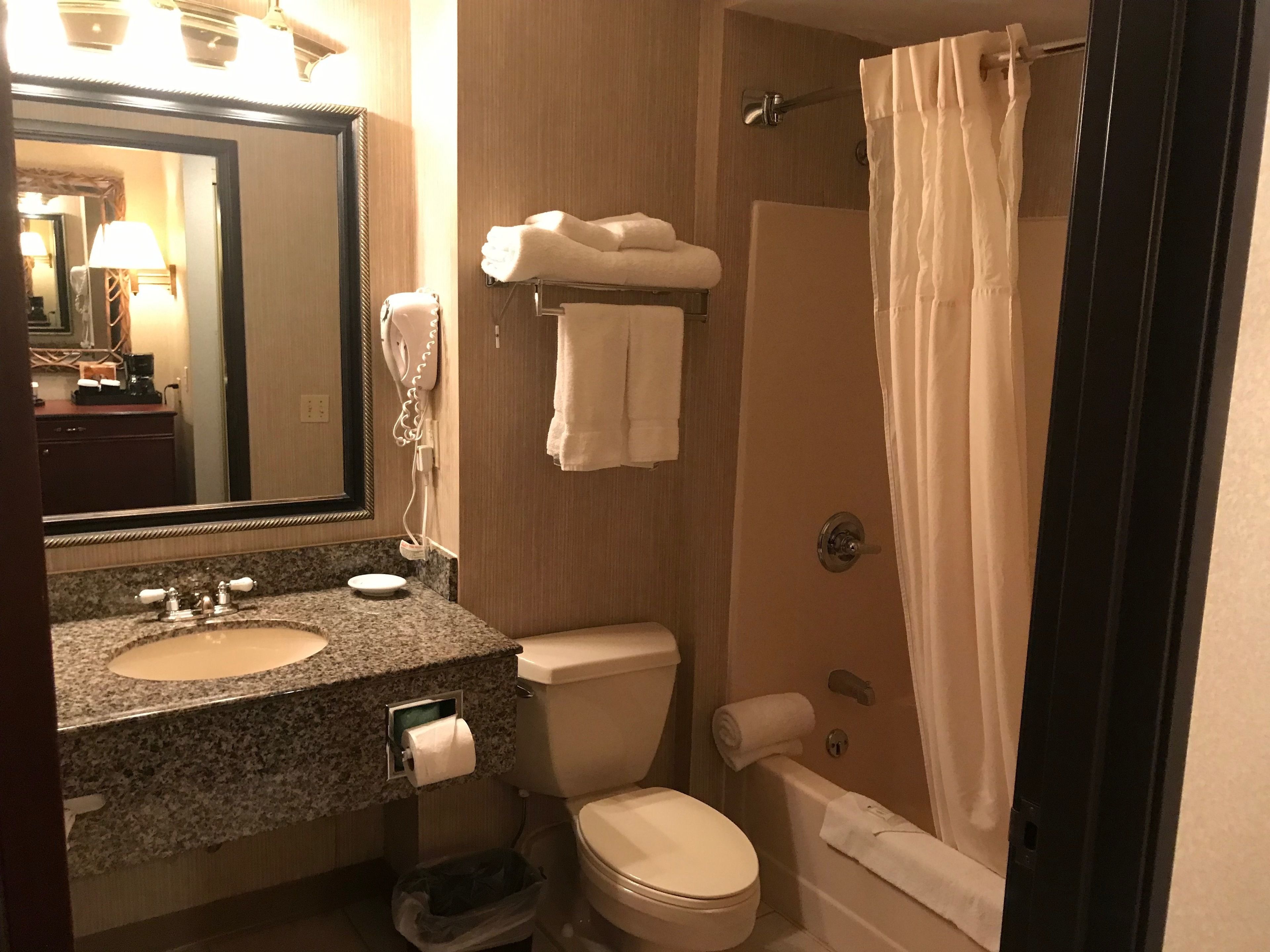 A bathroom with a granite countertop sink, a toilet, a shower with a curtain, and a mirror.