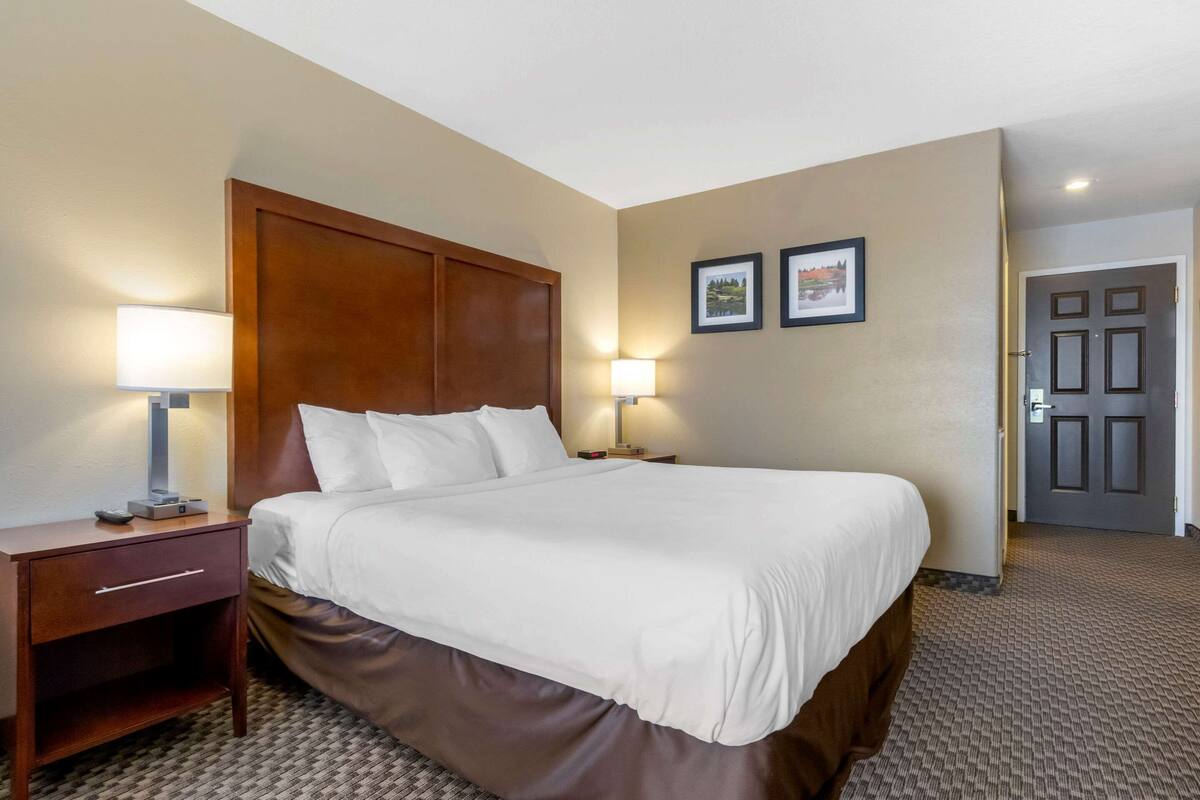 Habitación de hotel con una cama grande, dos lámparas de noche, cabecera de madera y suelo alfombrado.