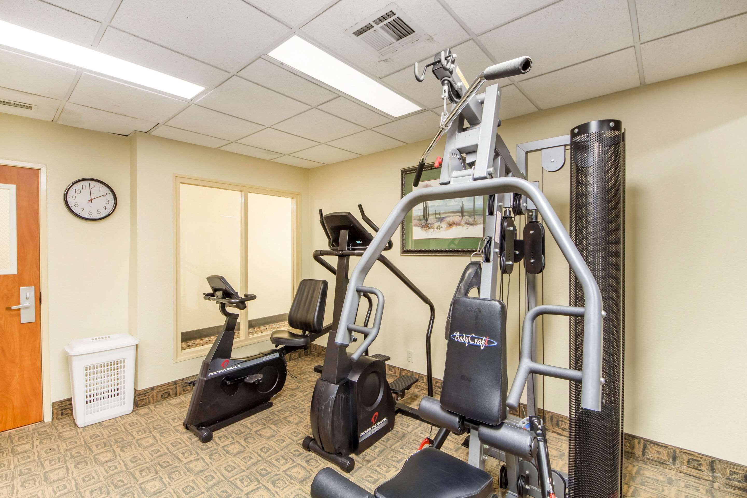Een fitnessruimte met cardioapparaten, een gewichtbank en een bokszak.