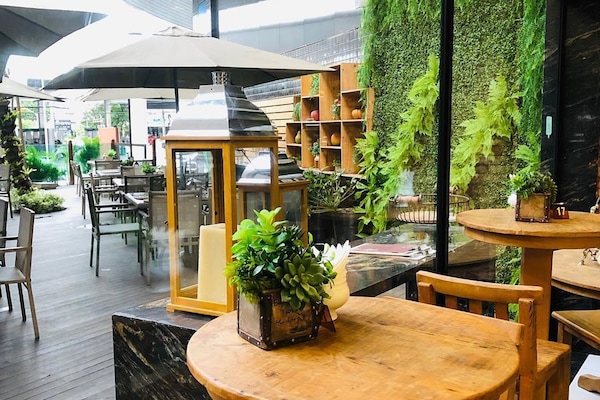 Café da manhã, almoço e jantar; culinária internacional