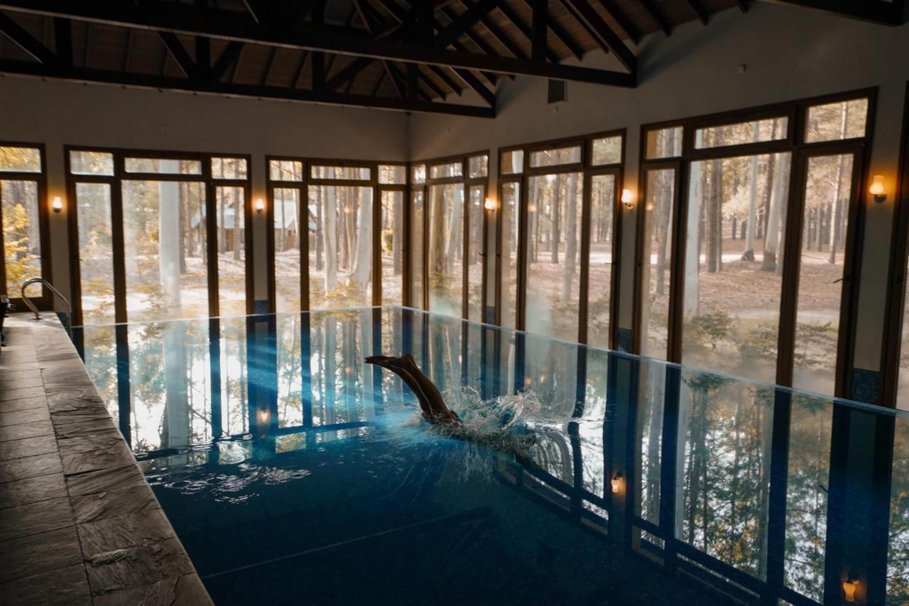An indoor swimming pool with a clear view of the surrounding forest through large windows.