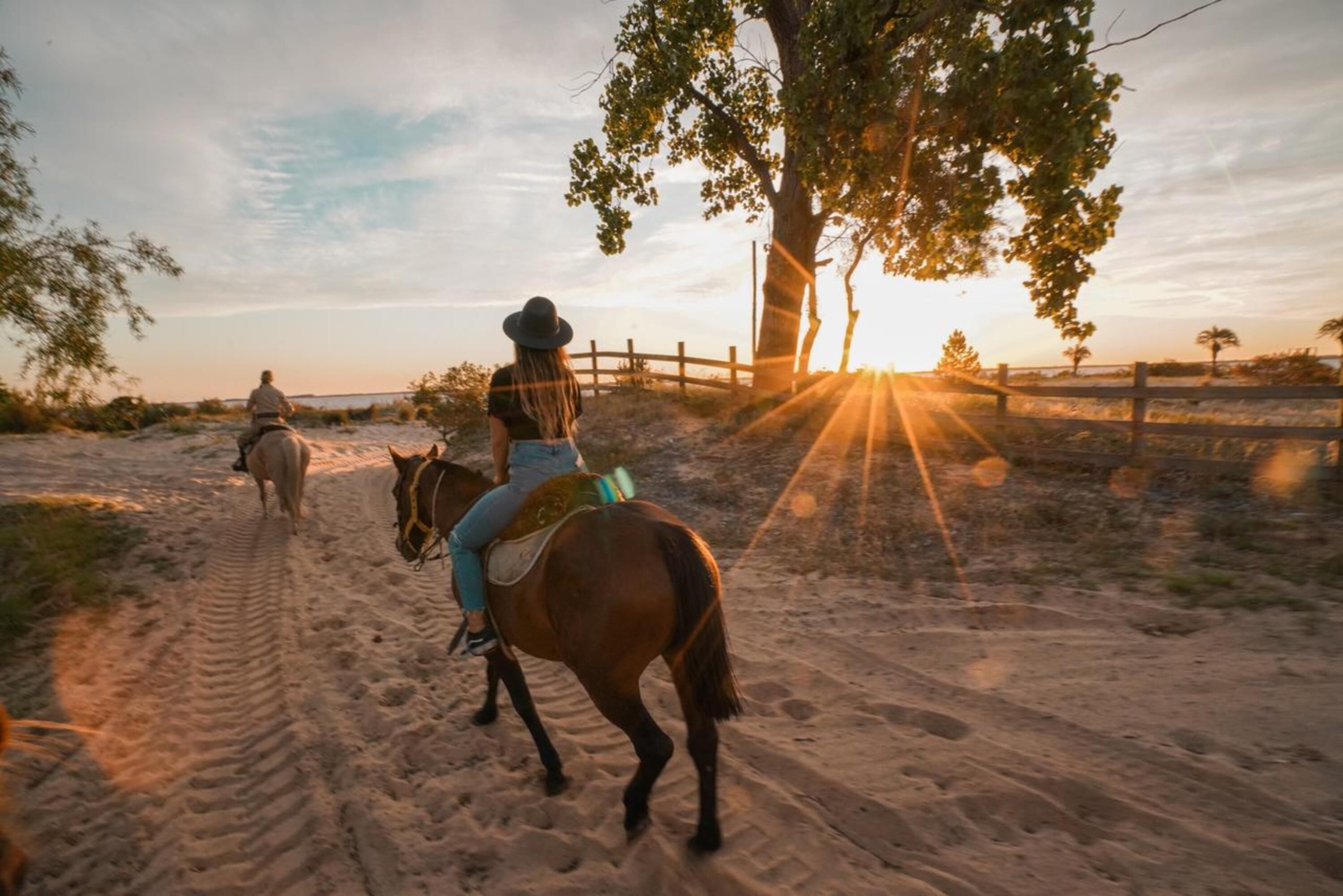 A person riding a horse on a sandy path with a wooden fence and trees in the background.