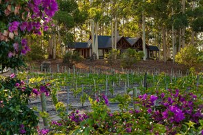 Bungalow | Vineyard