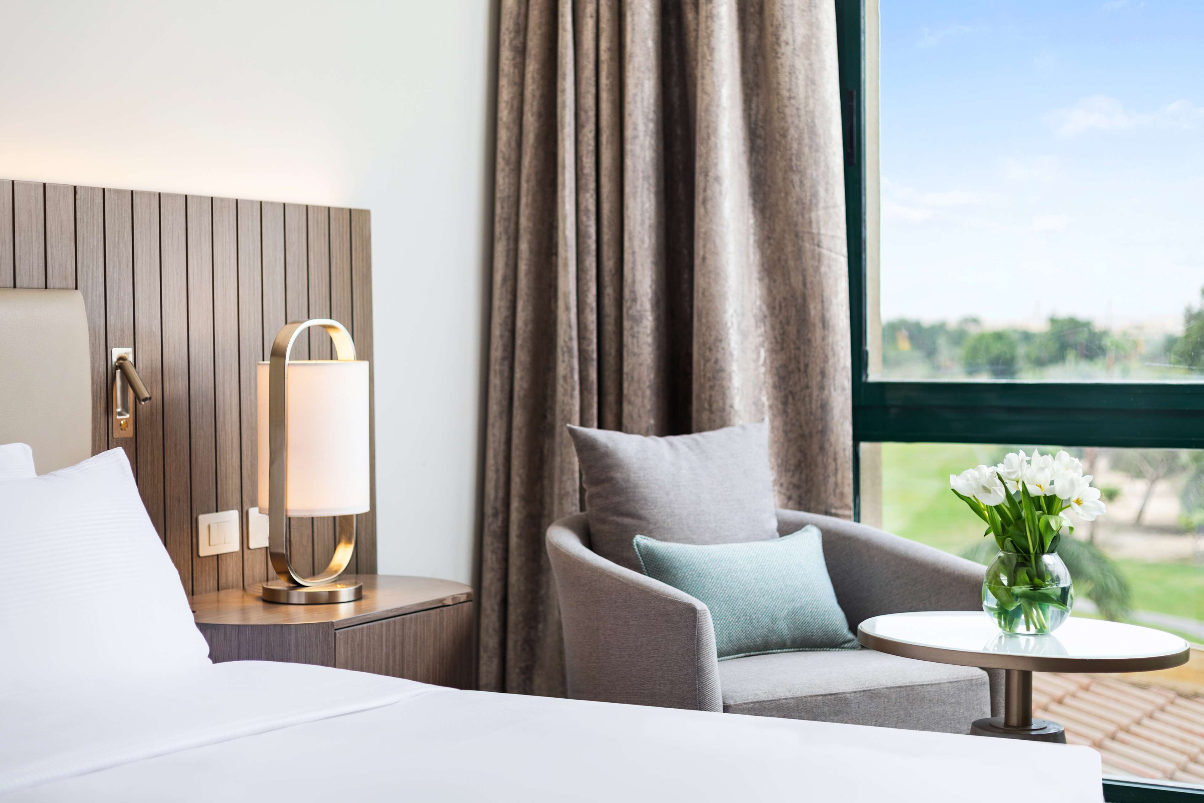 Premier Suite, 1 King Bed | View from room