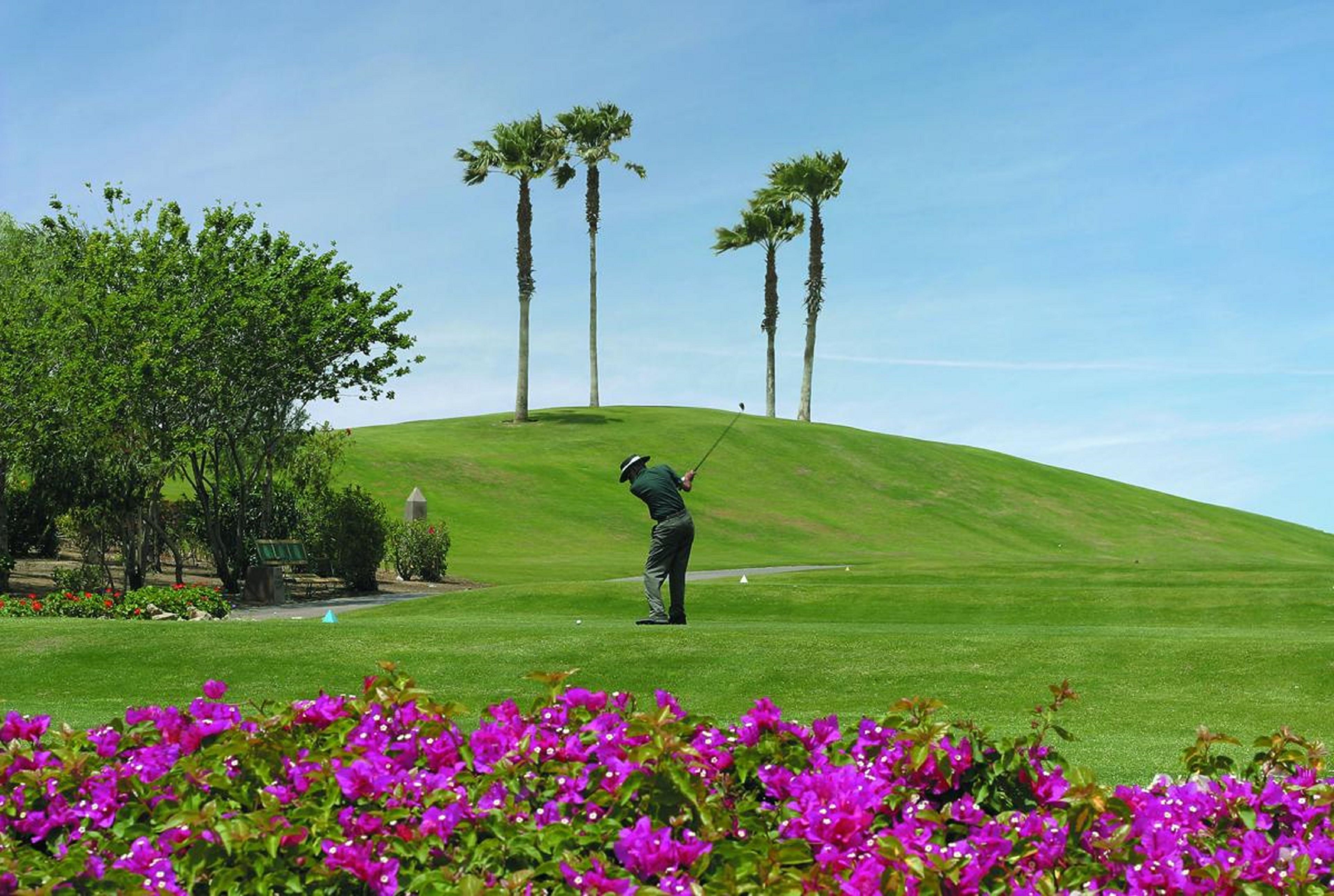 Foto - Hilton Pyramids Golf