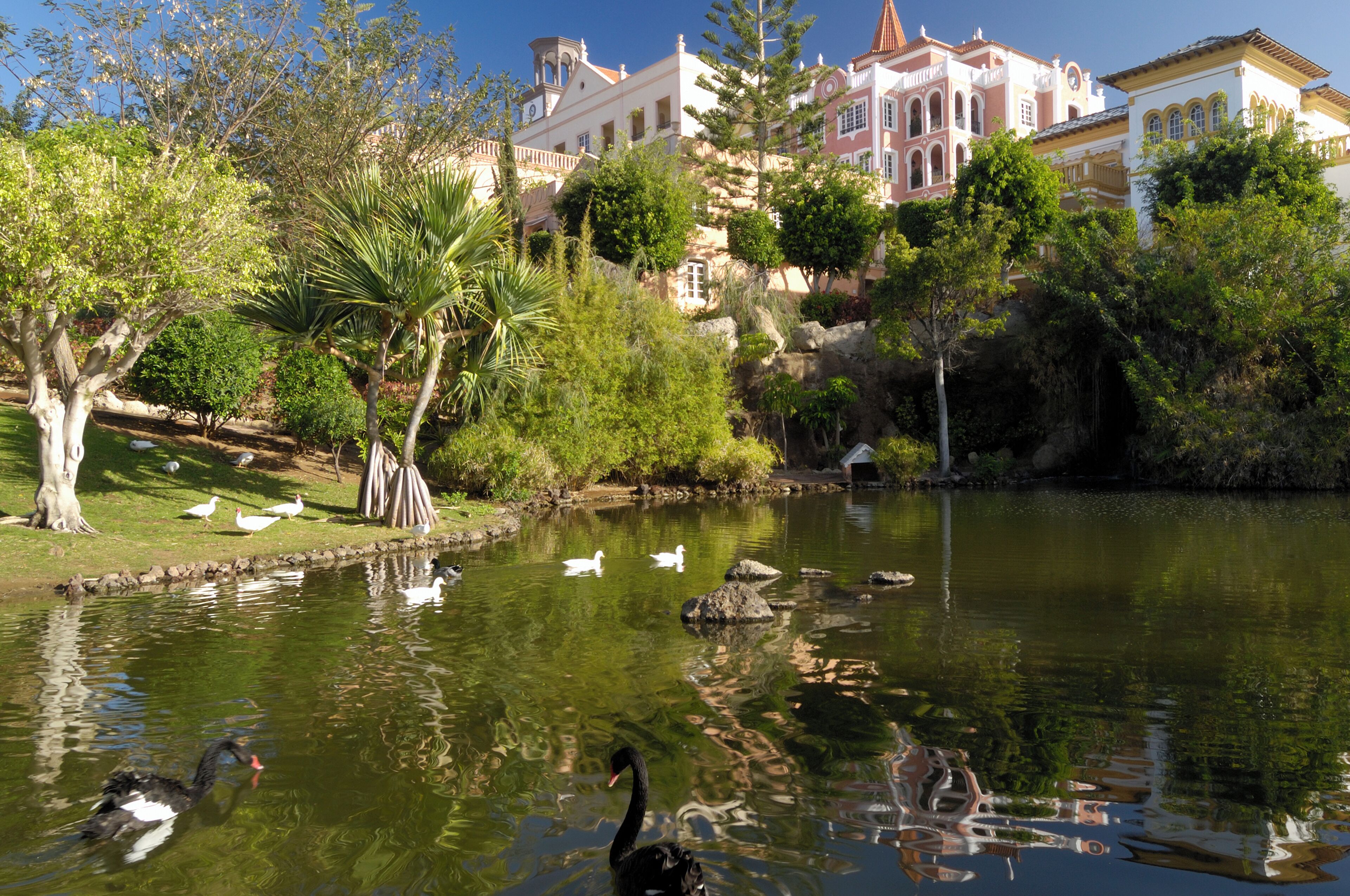 A serene pond with swans and ducks, surrounded by lush greenery and a backdrop of classical architecture.