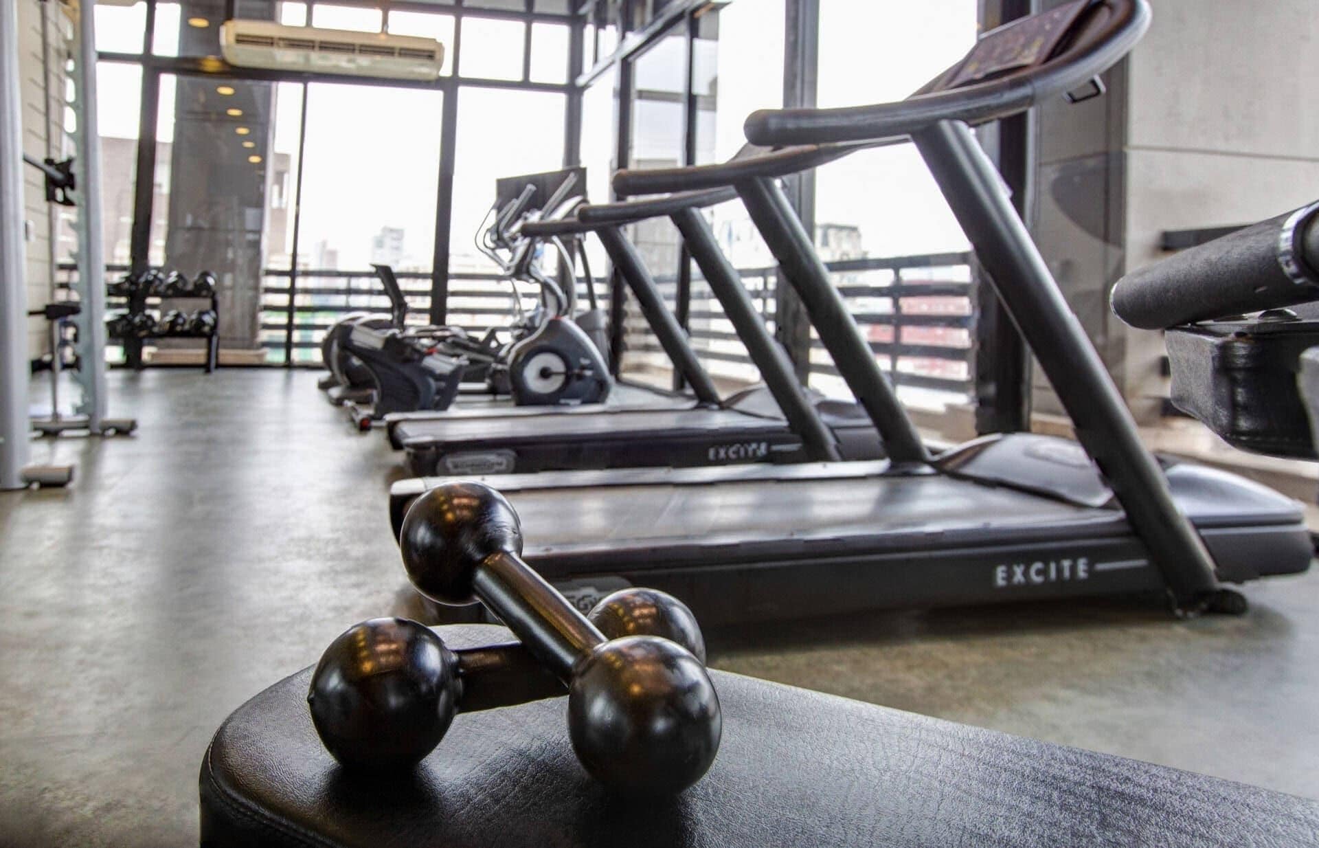A gym with treadmills, dumbbells, and weight machines.