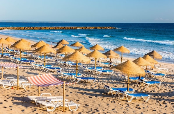 Accommodatie ligt op het strand