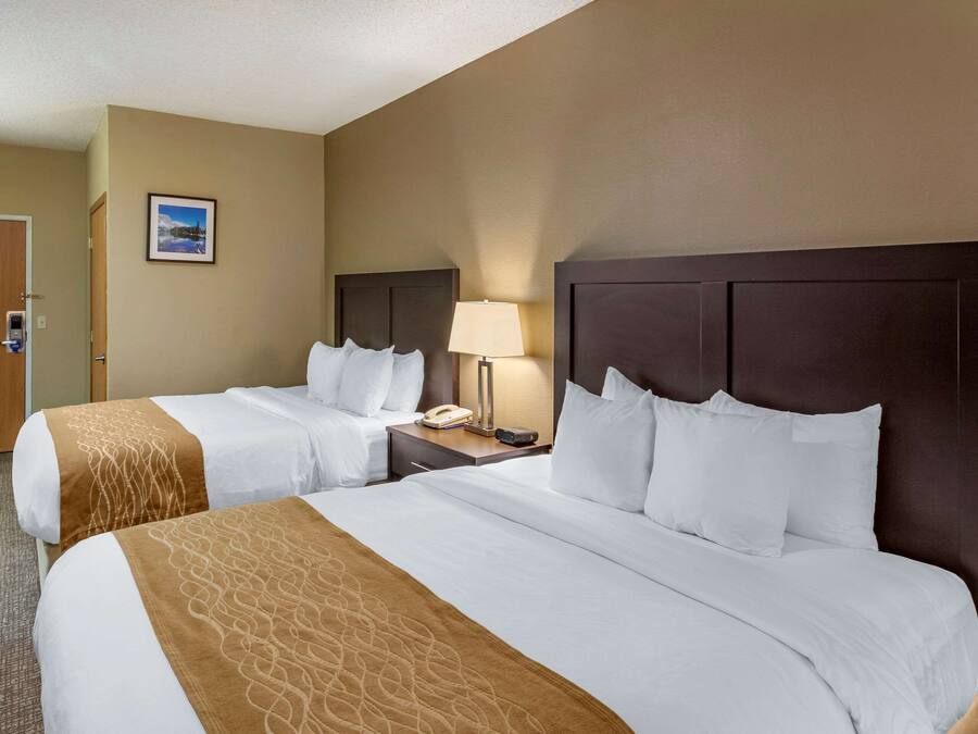 A hotel room with two beds, a nightstand with a lamp, a phone, and a picture on the wall.