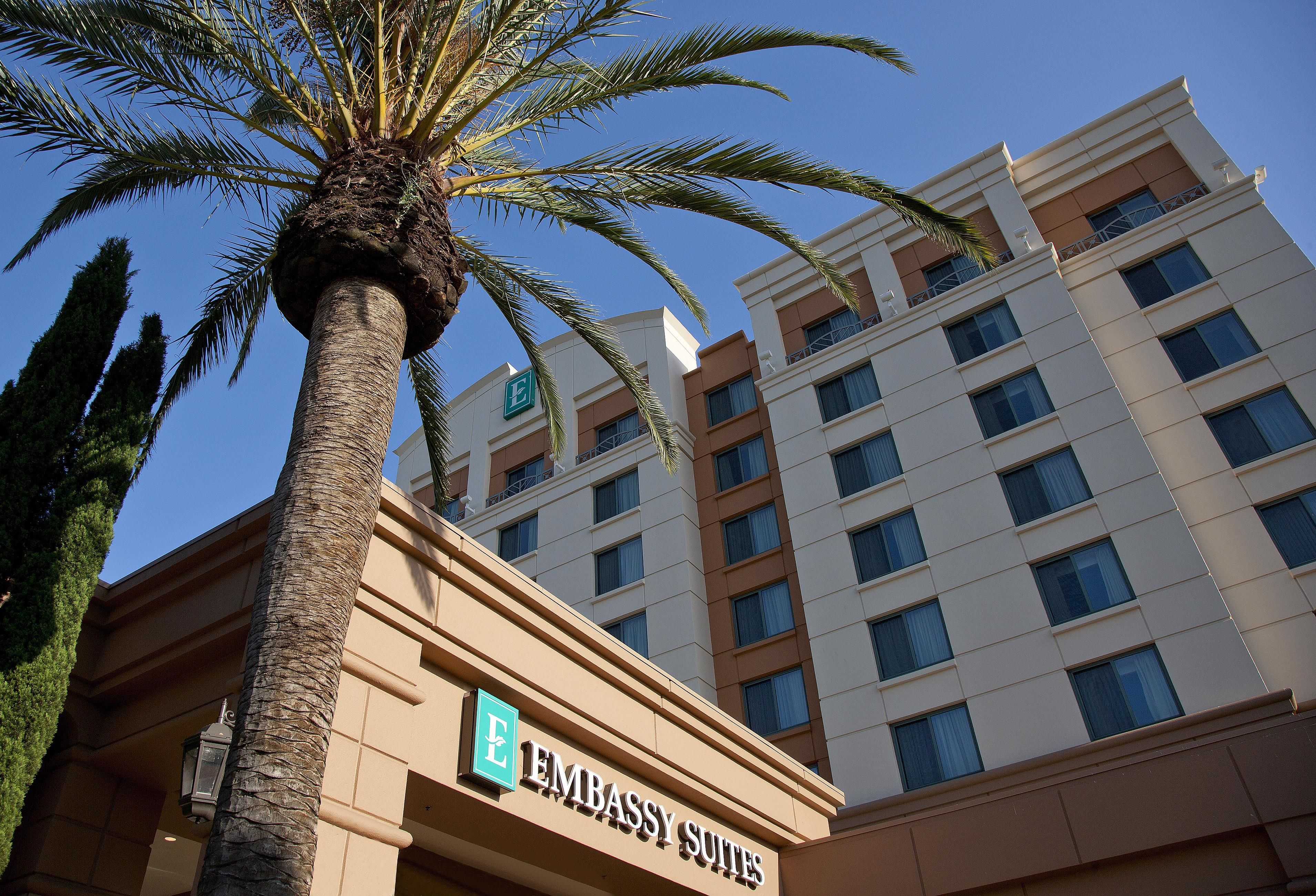 A hotel with a prominent palm tree in the foreground and a clear blue sky.