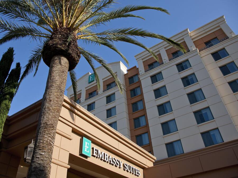 A hotel with a prominent palm tree in the foreground and a clear blue sky.