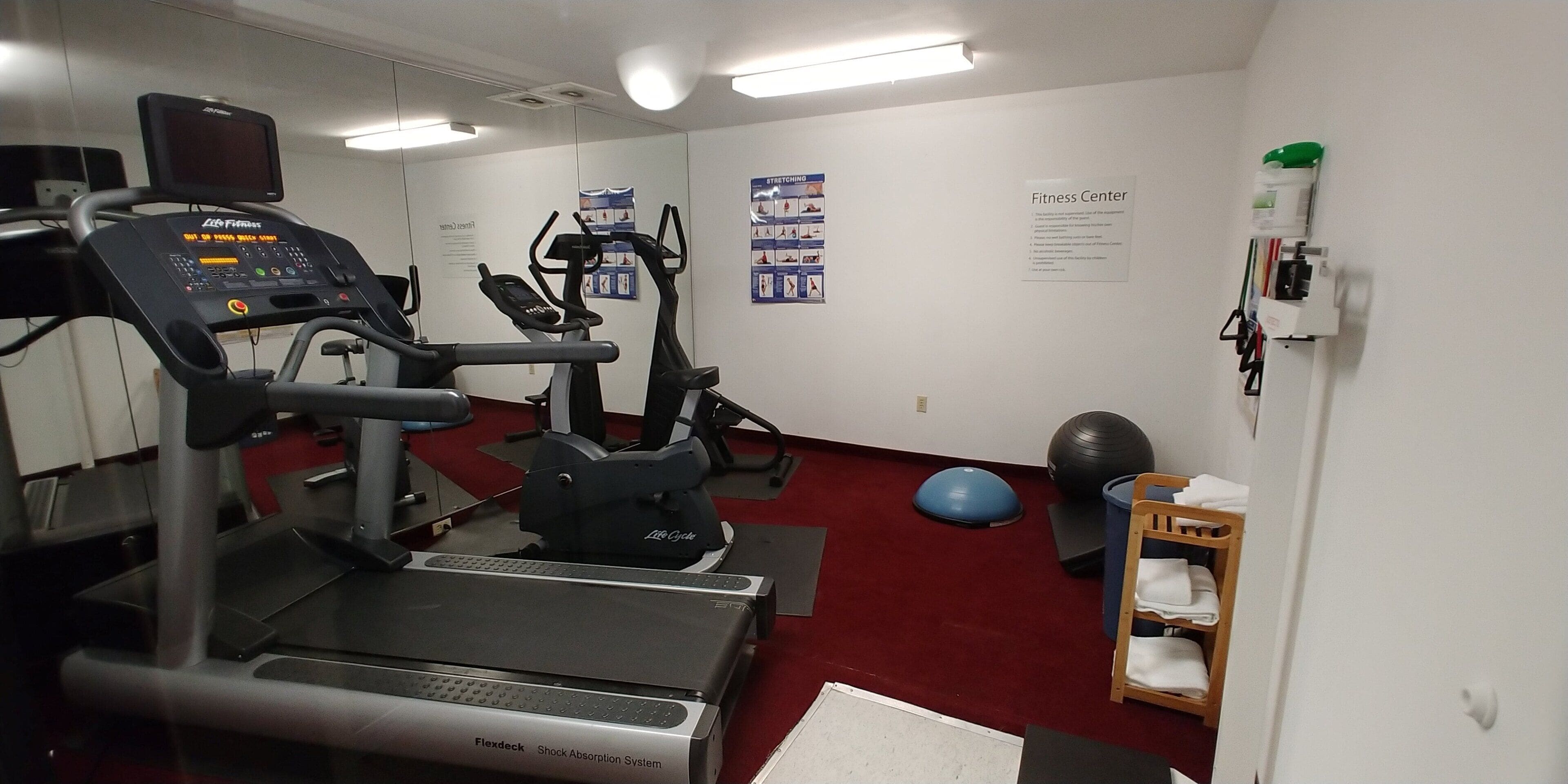 A fitness center with treadmills, elliptical machines, a stationary bike, a medicine ball, and a wall-mounted exercise ball.