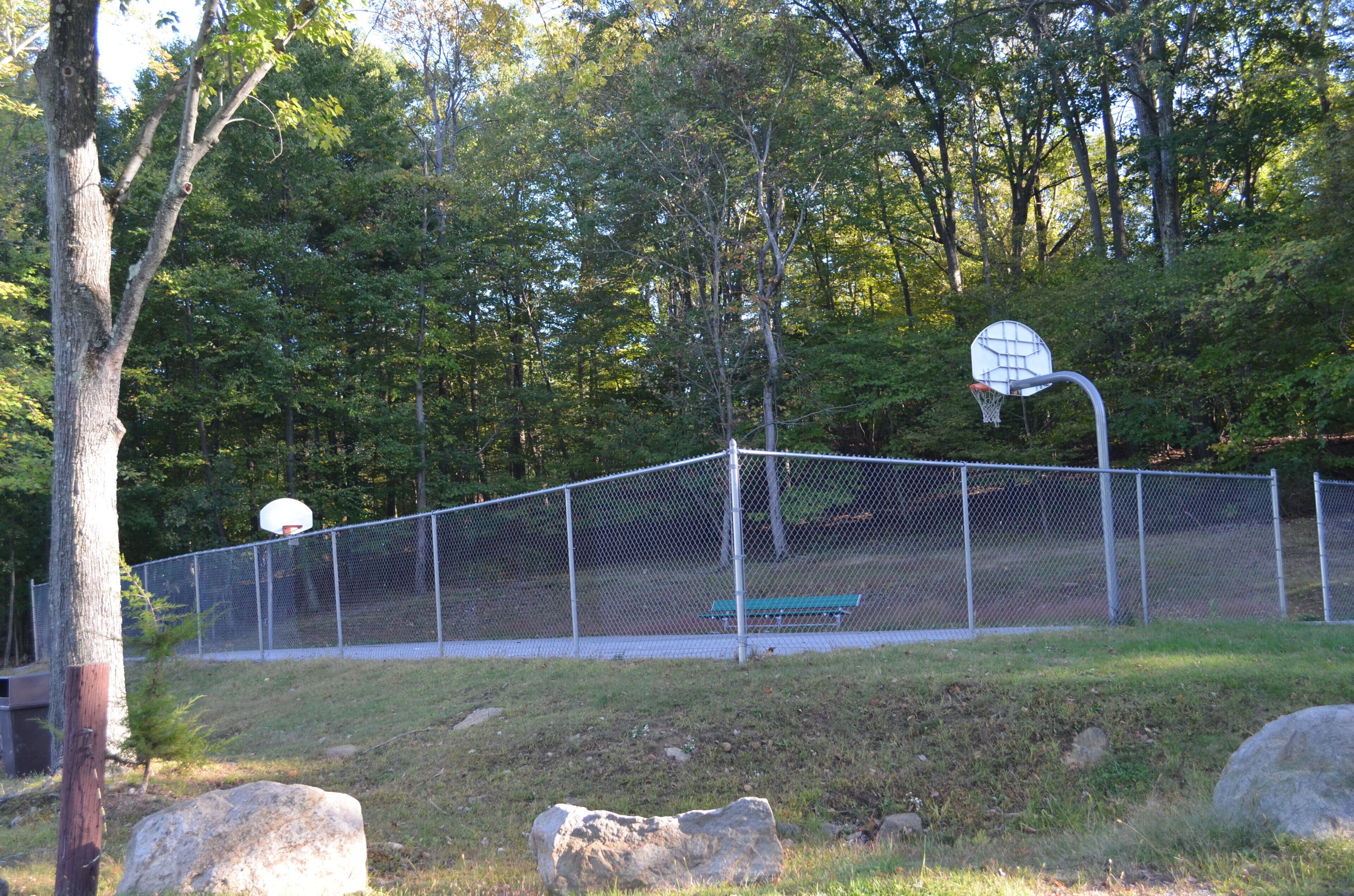 A fenced basketball court with a bench, surrounded by trees.