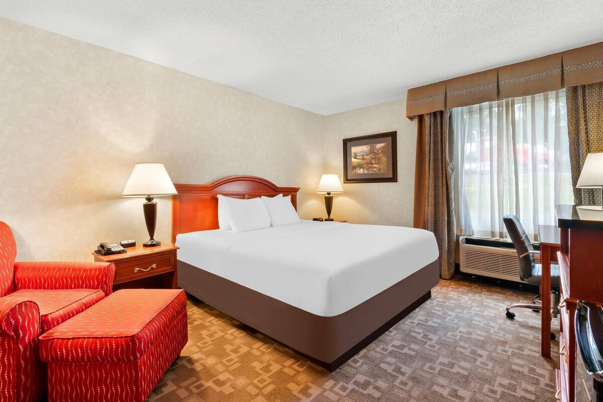 Room, 1 King Bed, Non Smoking | In-room safe, individually furnished, desk, laptop workspace