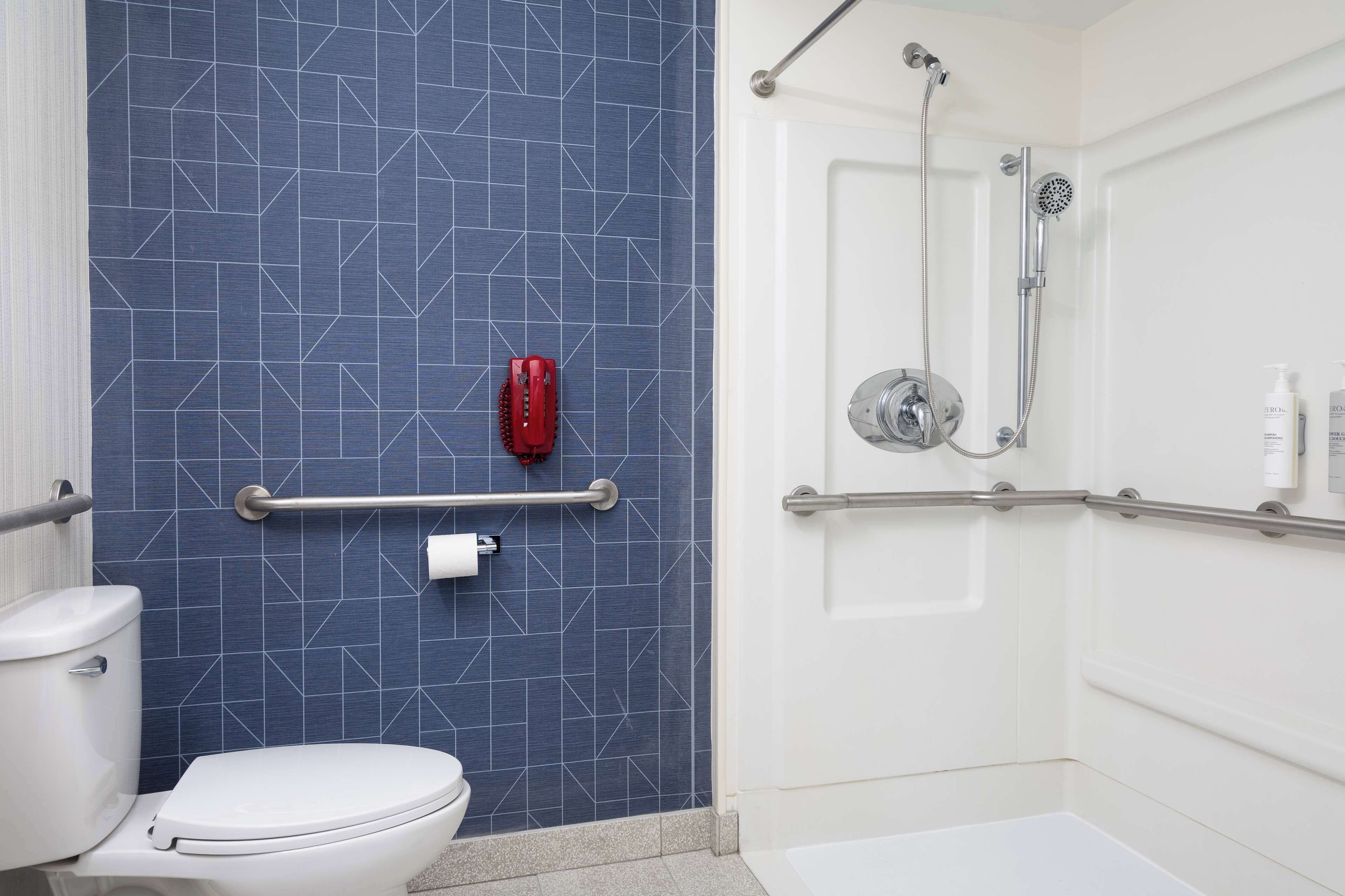 room, 1 king bed, accessible (mobility & hearing, roll-in shower) | bathroom shower