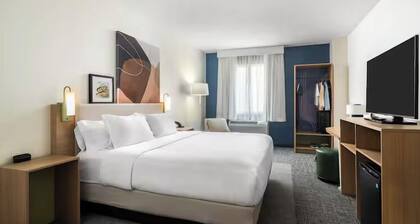 Spark by Hilton Guelph