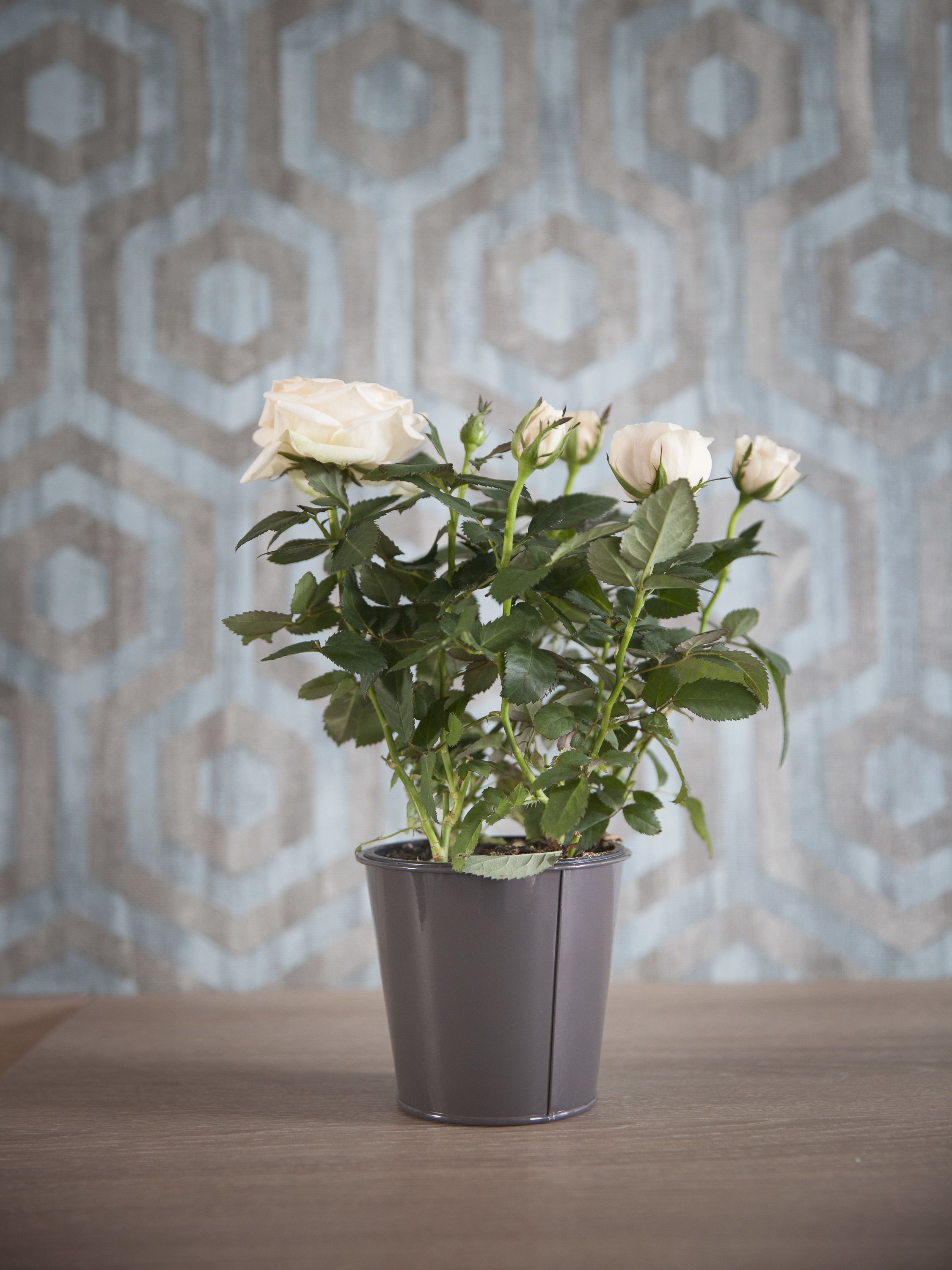 Foto - Hotel Chabrol Opera