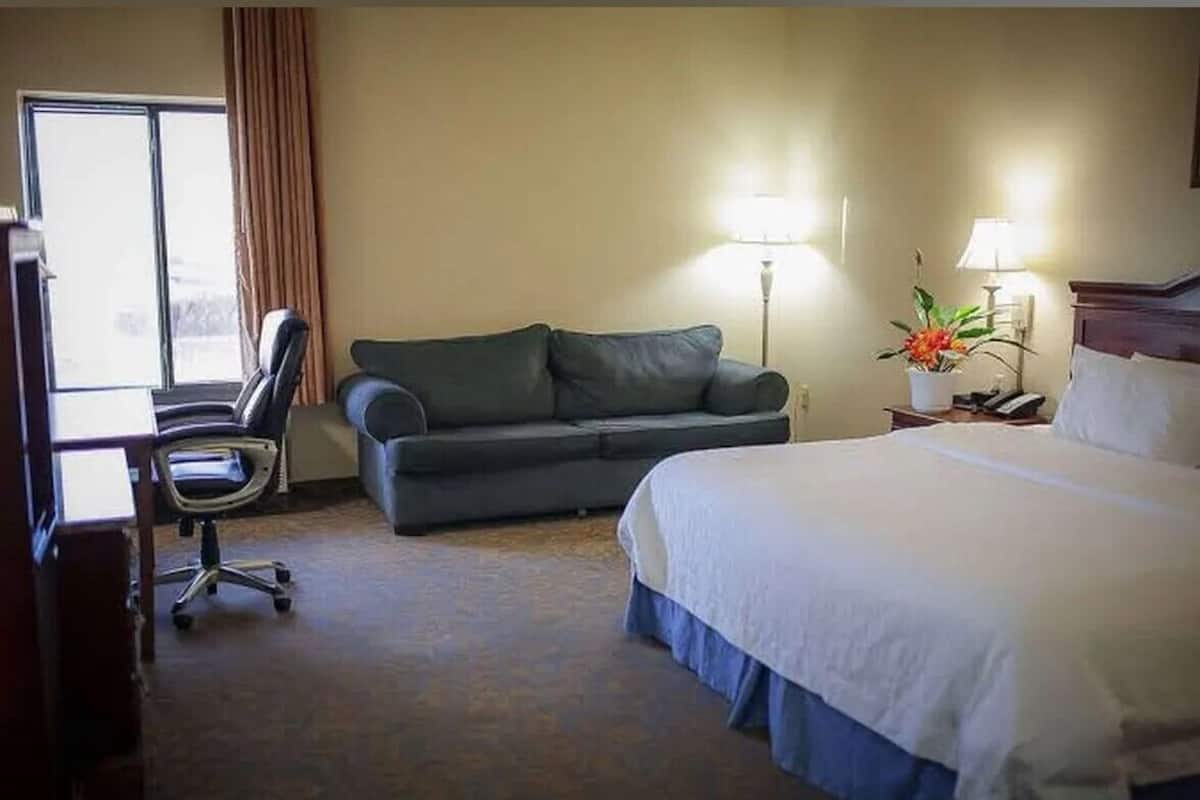 Basic Single Room | 1 bedroom, hypo-allergenic bedding, down comforters, pillowtop beds