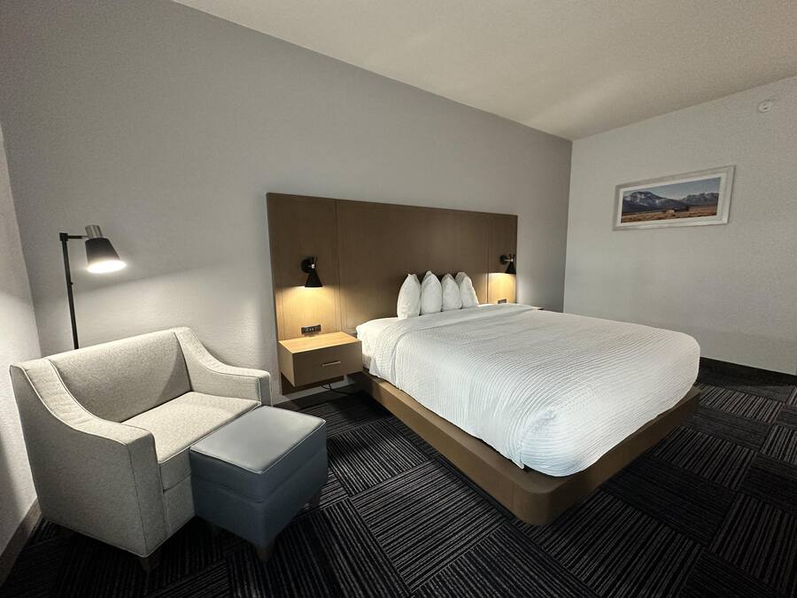 Standard Room, 1 King Bed, Non Smoking, Refrigerator & Microwave | Hypo-allergenic bedding, down comforters, pillowtop beds