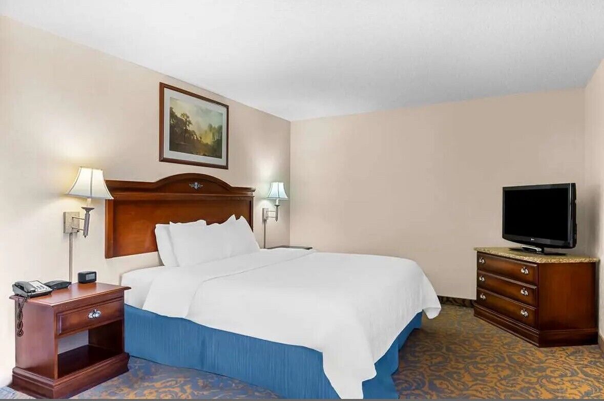 signature studio suite | hypo-allergenic bedding, down duvets, pillow-top beds