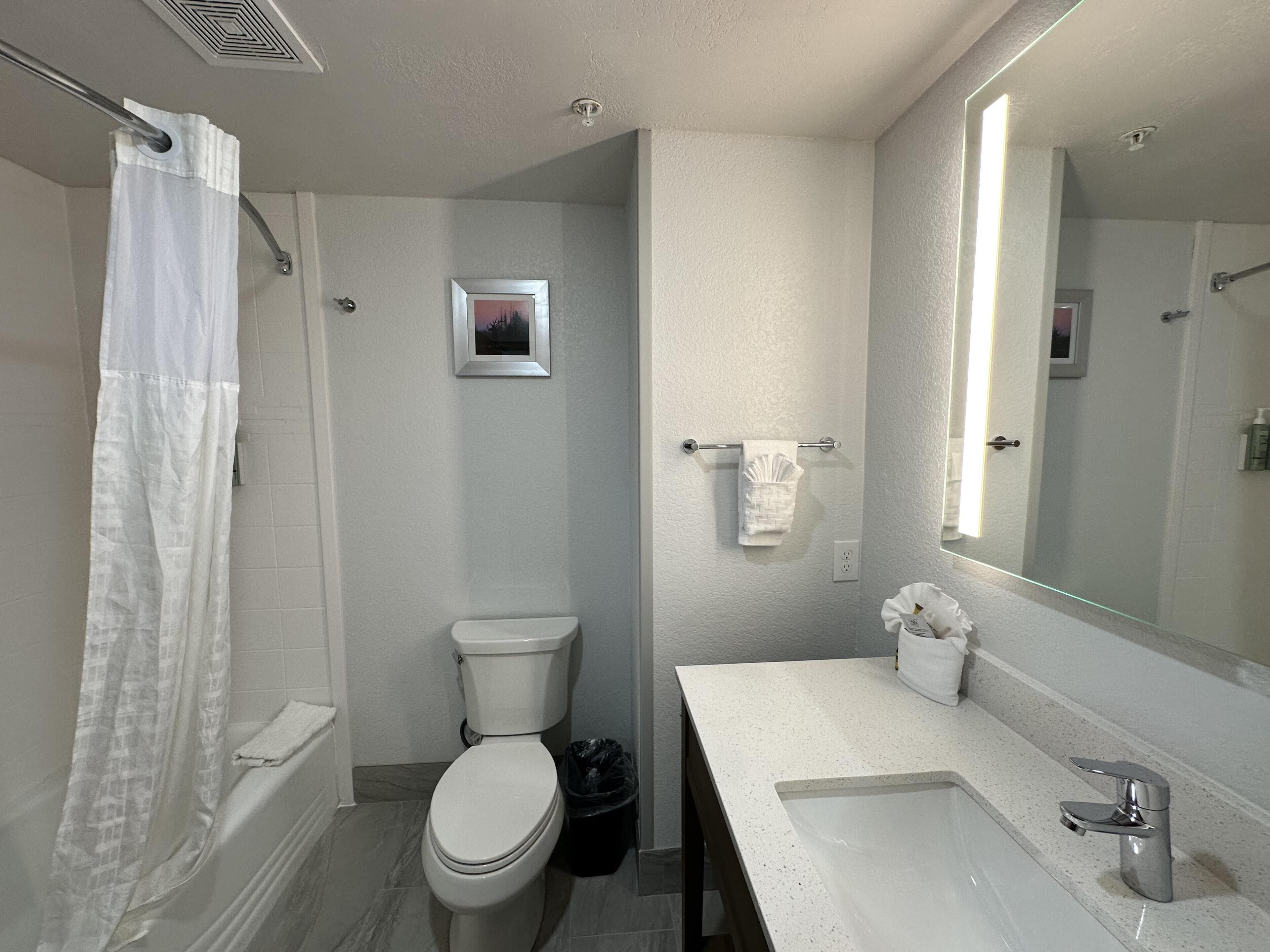 A bathroom with a toilet, a sink, a mirror, and a shower curtain.
