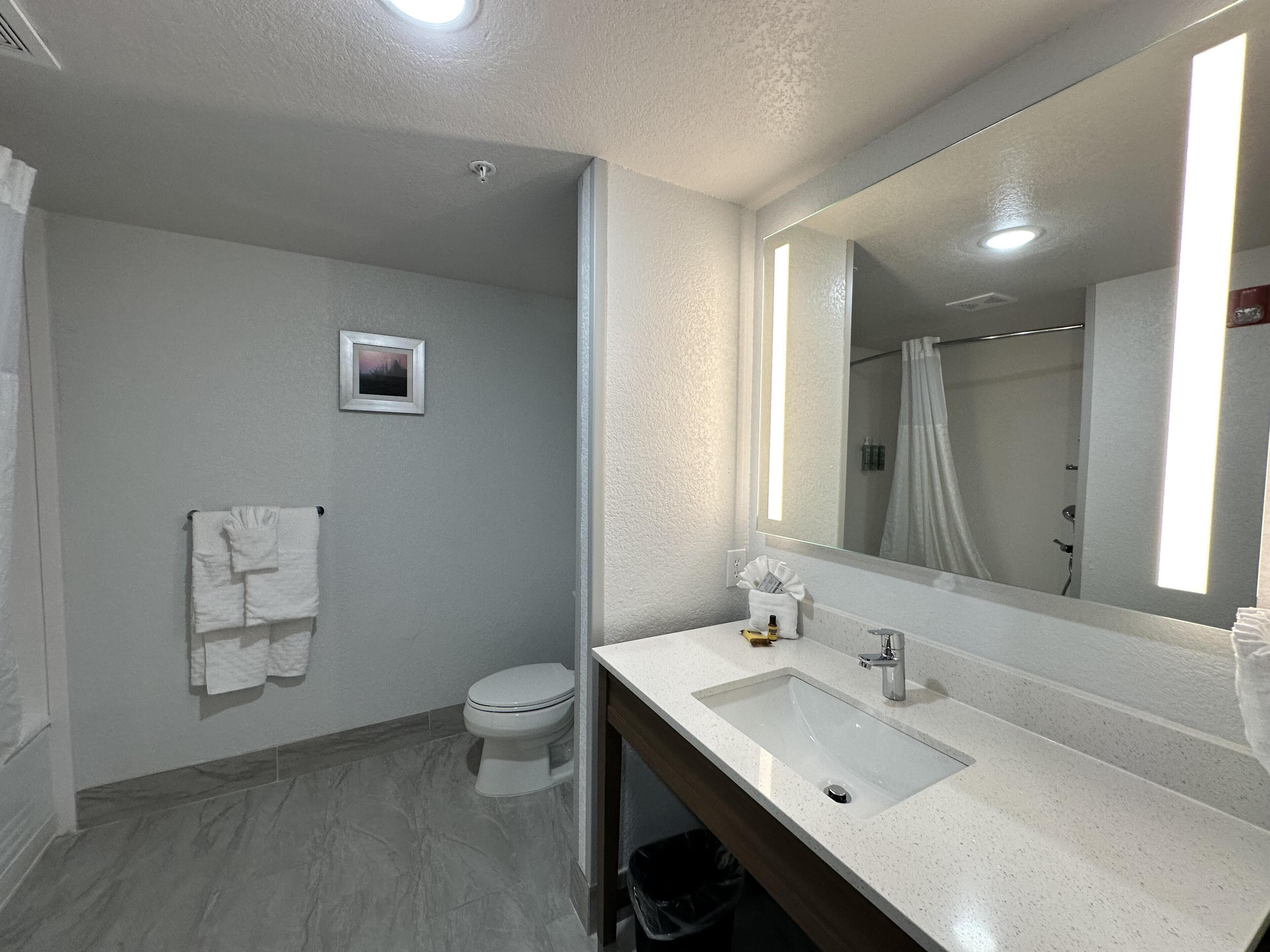 Een badkamer met een witte wastafel, een spiegel, een toilet en een douchegordijn.