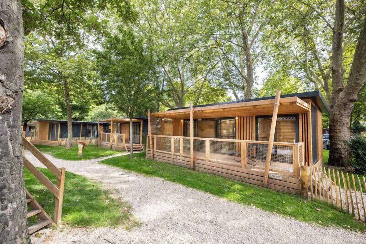Une rangée de cabanes en bois dotées de grandes fenêtres, entourées d’arbres.