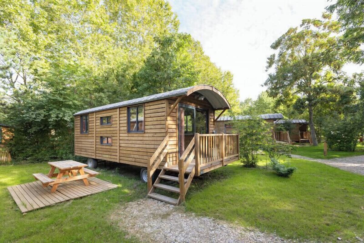 Une maison mobile en bois, dotée d’une véranda et d’une table de pique-nique, située dans un espace verdoyant entouré d’arbres.