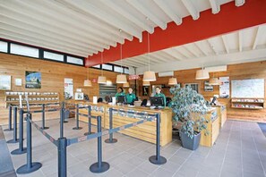 Recepción