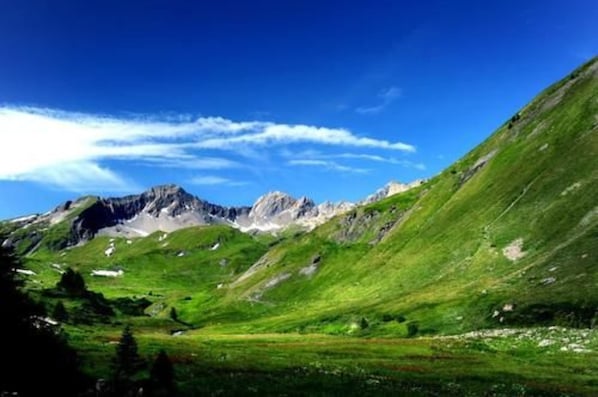 외부 세부 사진