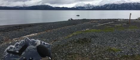 A rocky shoreline with a calm lake and distant mountains.