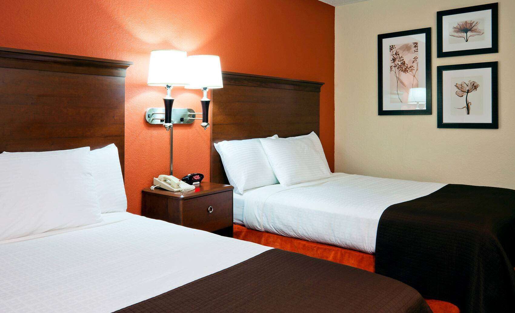 down duvets, desk, soundproofing, iron/ironing board