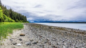 A rocky shoreline with a forested area and mountains in the background. - Glacier Bay Lodge (Gustavus)