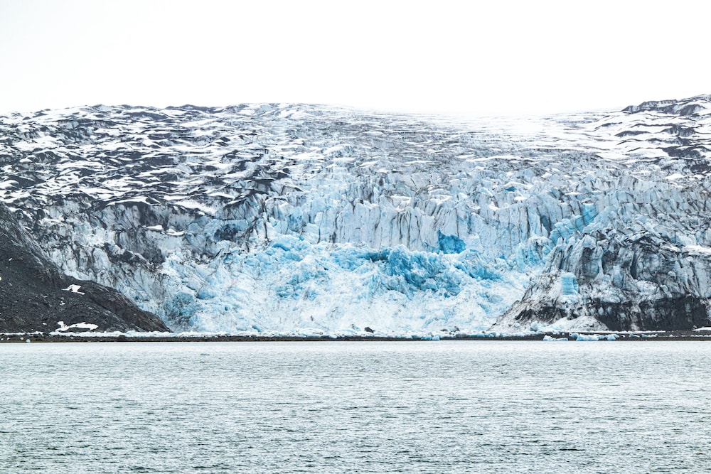 Glacier Bay Lodge & Tours by null